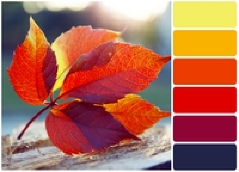 Les couleurs tendance pour votre intérieur cet automne.