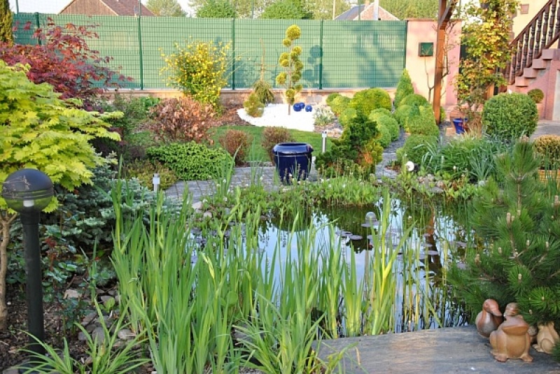 Bassin extérieur : apportez un peu de sérénité dans votre jardin