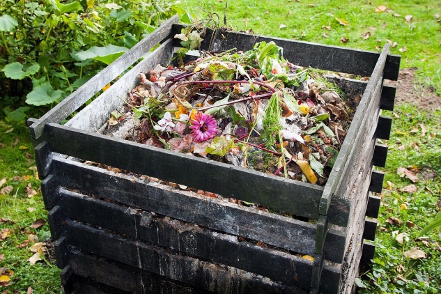 7 conseils pour faire votre compost