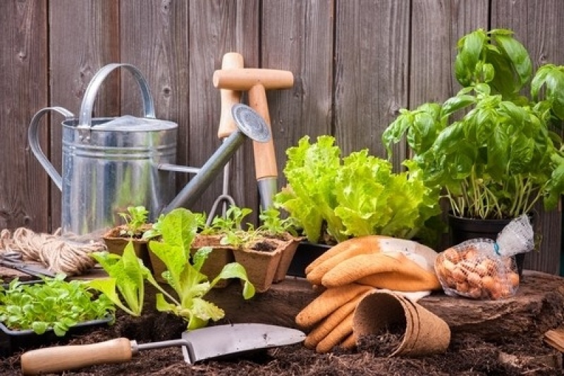 7 astuces pour bien entretenir son jardin