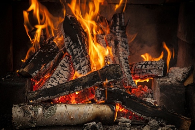 Quel type de bois utiliser pour sa cheminée ou son poêle ?