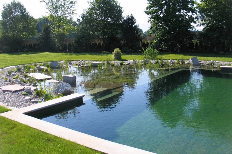 Construire une piscine naturelle, biologique et écologique