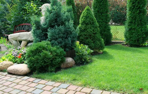 OVsEOWSE2anklCvh6sMjIYe96wX9ji8e9SgqIKNp