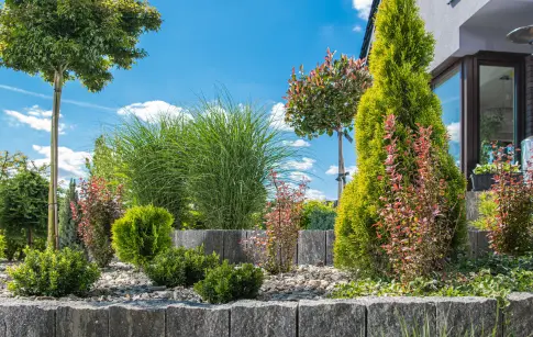 jardin_moderne