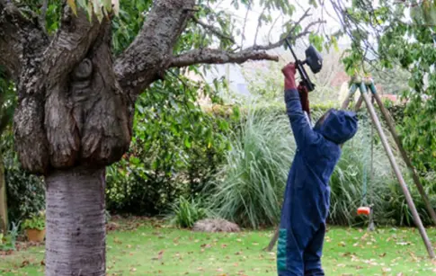 LA SANITATION COMTOISE