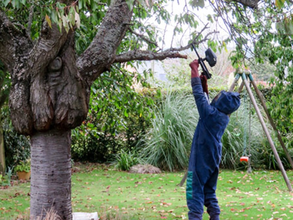 Éradication des nuisibles dans le Doubs et environs
