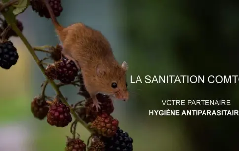 RXrVYY91WdzgTDvWi3kLdNiUCUlwJlE9jp97ozQA