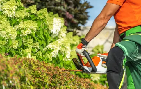 9vIce6IiWuMOjfrZSyZ3P1pWZ3dMxg0p5r3n4OxZ