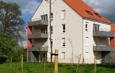 zbAaTrZDky5yorJcB1YpM1kYlHYzihyk6qUxvGgD