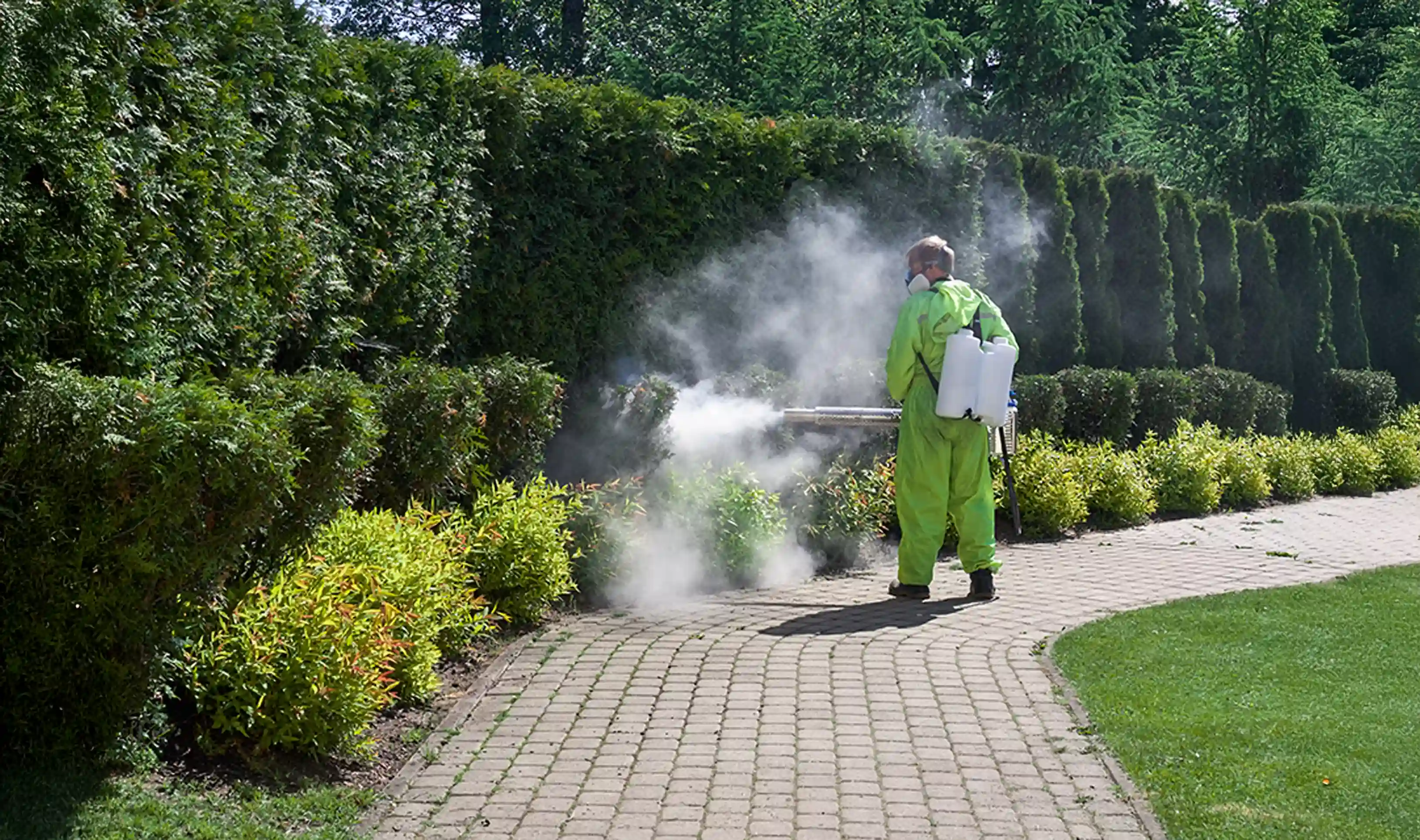 Solutions antiparasitaires à Bolbec et environs