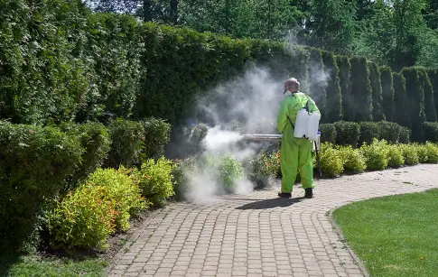 5469_desinsectisation_hero_st