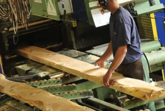 Fourniture de bois vosgien proche de Gérardmer