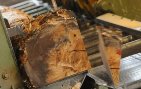 dSw7Ptmhly6CdmrWzZNrTXBuxNFvwc63ErX0mqgZ