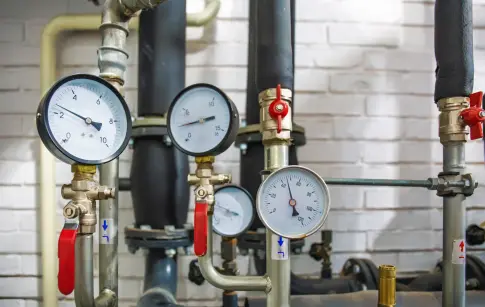 shutterstock_1208499607