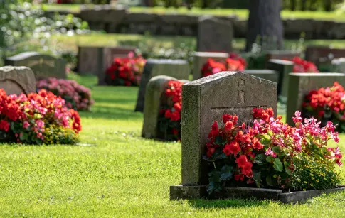 oKR0wxV0iIuwqMNLiqSG8EVxCgrDO10VpFmjZwxm