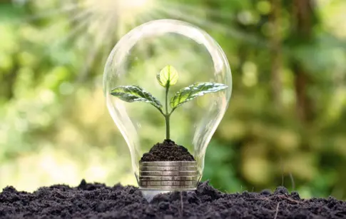 LENAN DELPIERRE CONSEIL