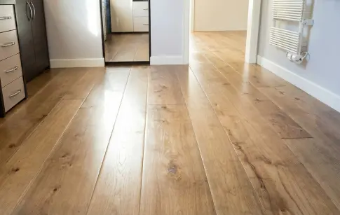 81b8d7d0-d4ca-4d08-acd3-aa5ed2967e4f