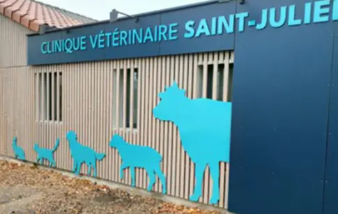 TCCUa8gfCU7uRC9pKHXTnMo0e7j2fZPkSJJYL7gk