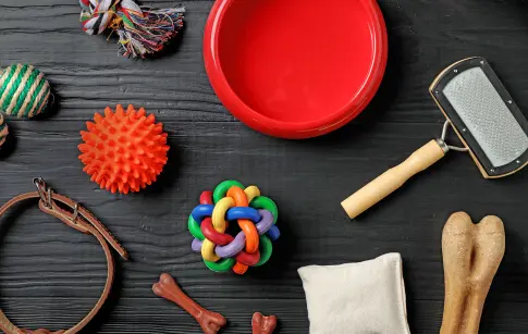 85417cc6-100f-4f26-baf4-fce3df5d25ab