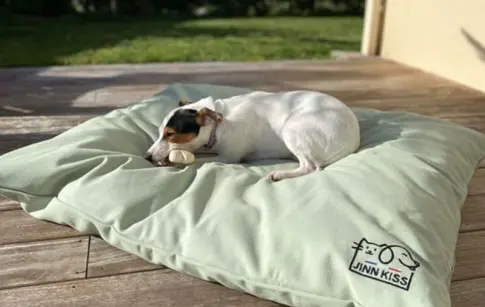 mXjG5UIA3JbgfkTpgLieXXooWmNMCC5bjCuuBKxm