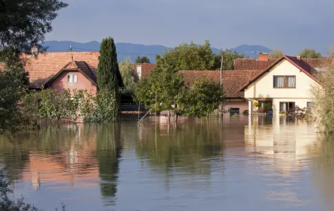 bee6197b-df10-4c87-94a1-5b0781d1b191