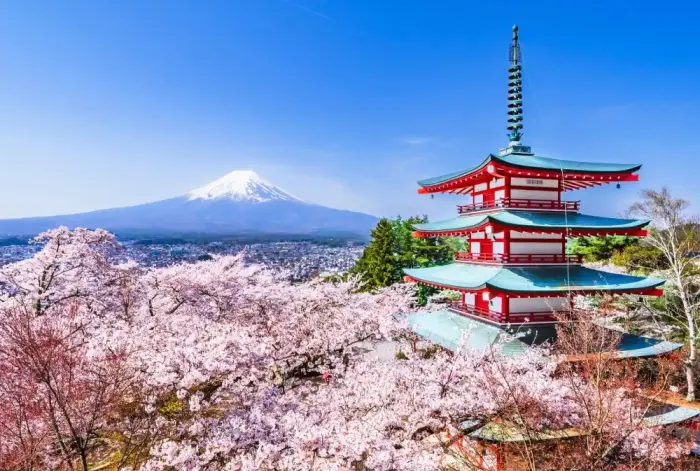 Voyages organisés près de Wattignies