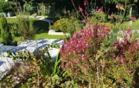 LA PASSION DU PAYSAGE