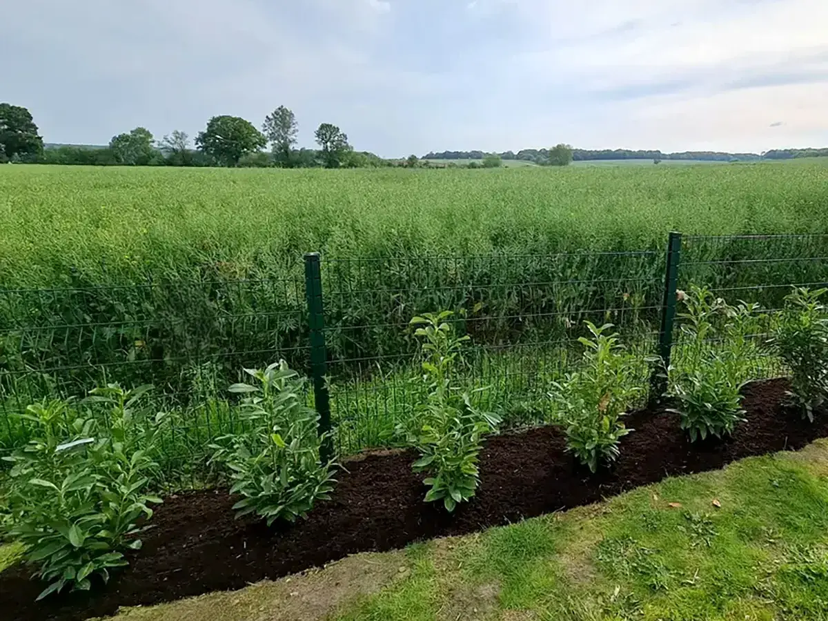 Aménagement extérieur proche de Gif-sur-Yvette et Yvelines