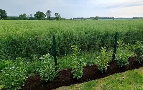 5529_amenagement-ext_real_site-natio