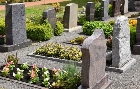 g9h7rED9ehLGsveKNUkaTL6mMQS5cPwDmQw3QXM5