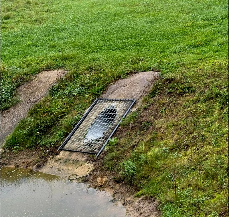 Services de piégeage proche de Beaune et Bourgogne