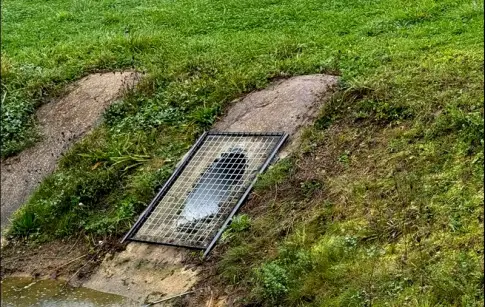 5501_barage-ragodins_real