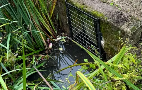 5501_barage-ragodins7_real