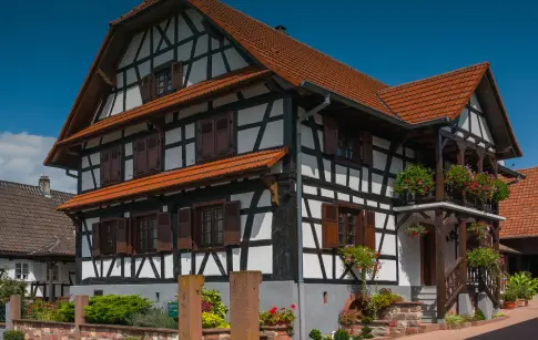 mKOTincvyH7Hy36ZUw4cigV0QdP2V4sy0ZV0nMqY