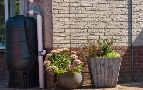 ewFTzU0JSExFDLmWVSRdd1OqfEf9hUYRSzXfrQQq