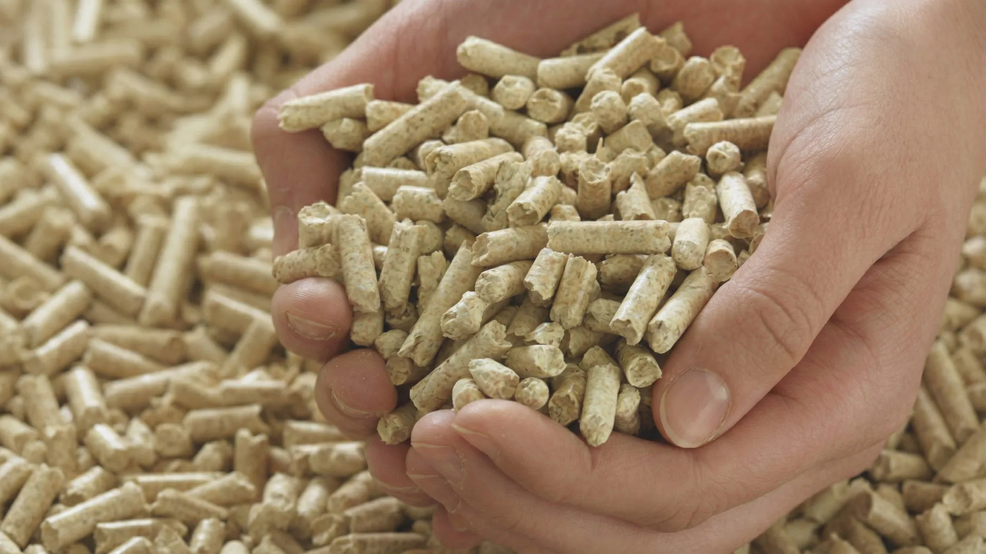 Vente de bois à Haguenau et environs