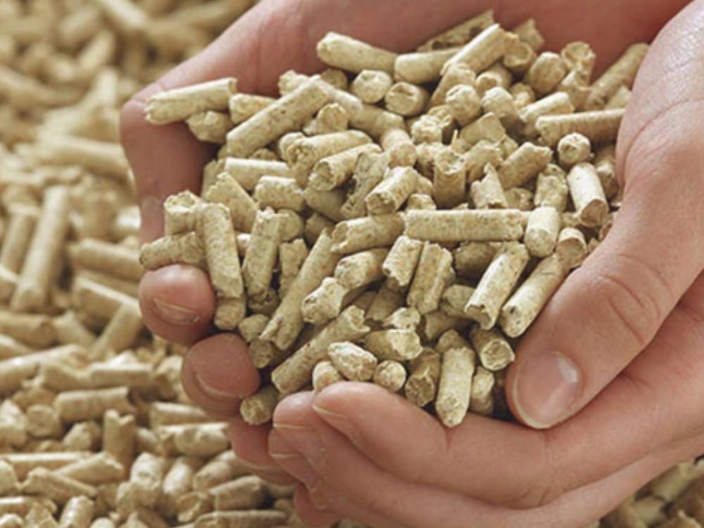 Vente de bois à Haguenau et environs