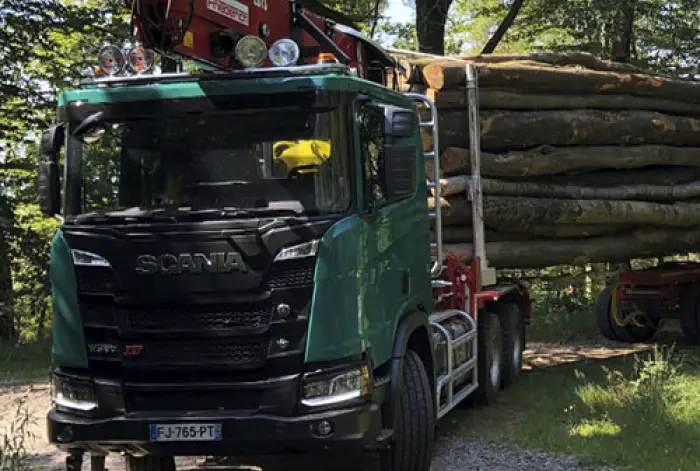 Vente de bois à Haguenau et environs
