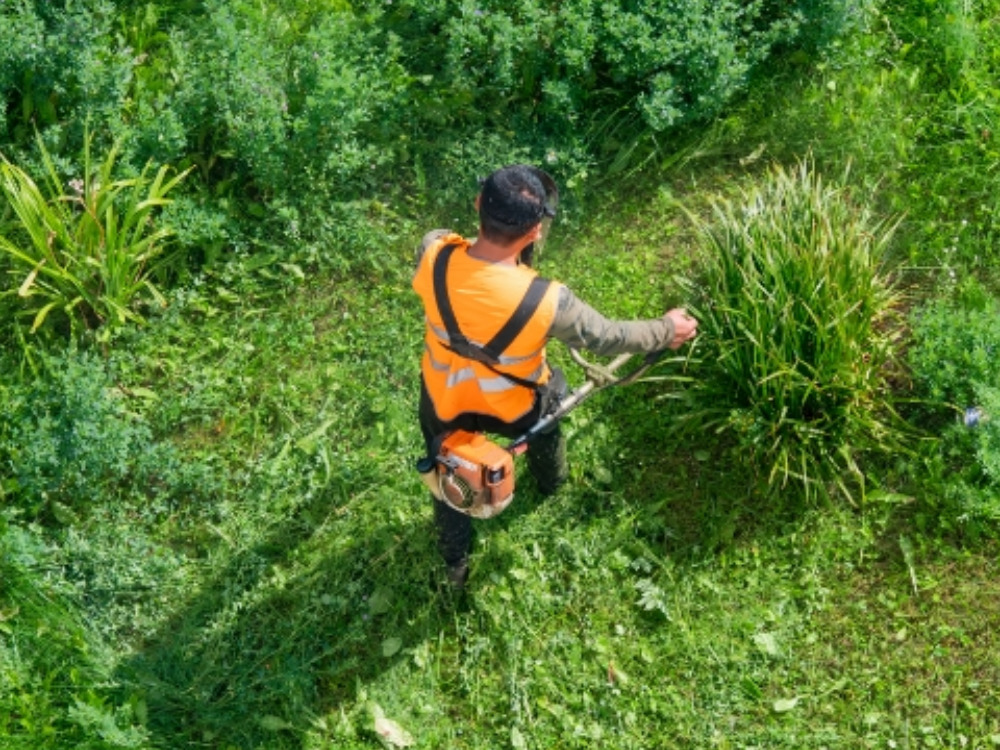 Services de paysagisme proche de Strasbourg