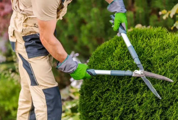 Services de paysagisme proche de Strasbourg