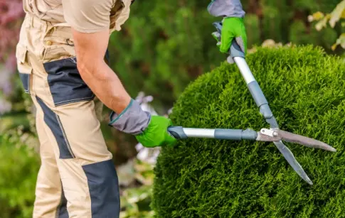 ZHgw29vum0Q1uuxBVze333JcJGkZwnqPVMdp8QaT