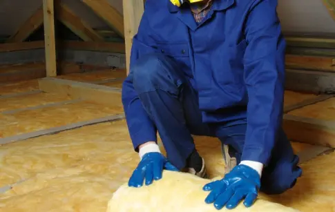 ZUzYXTkstNJFunX1V1g8Gor9sHDoydL0VHEnUdBd