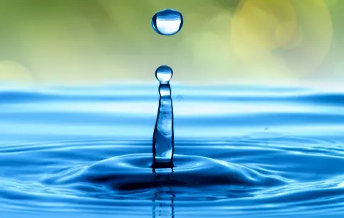 1c54a979-f52b-4b48-9717-769d02e04215