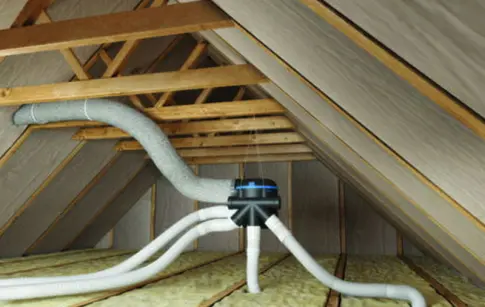 innovest-technique (9)