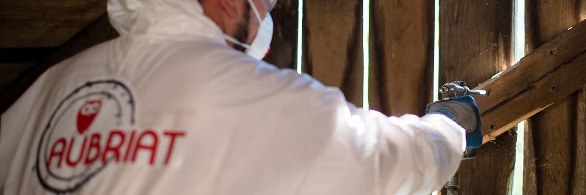 Traitement de charpentes et isolation dans le Grand-Est