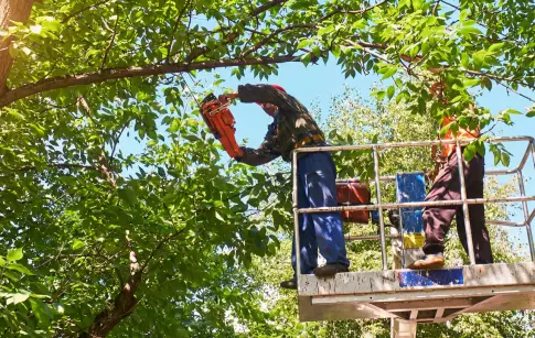 2f79fa9b-6211-410e-ae2f-51817ce5e977