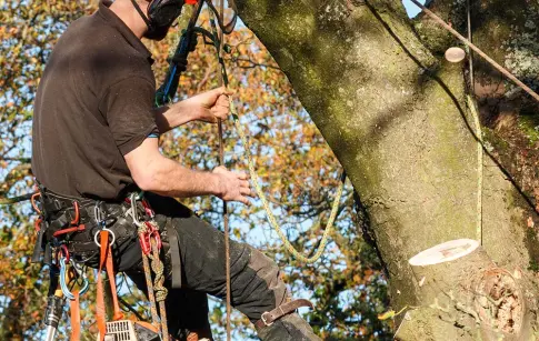 art-des-jardins-presta-2