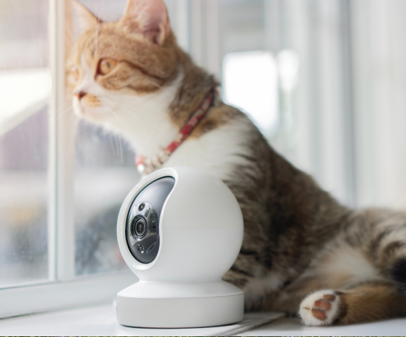 Installation de systèmes d'alarme en Alsace