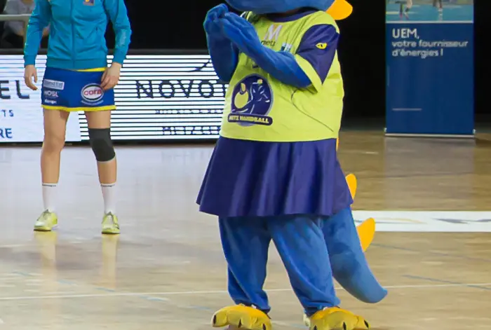 Entreprise Sports & loisirs Metz