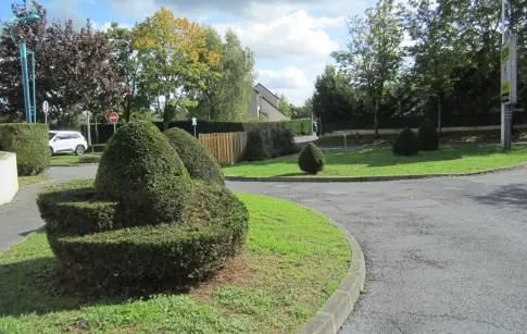 TblLuogLNuep2lTDVC5b1yCHFydQh8i51u1OYLtG